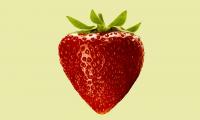 Mexican strawberry imports could face antidumping margins of over 5 percent
