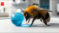 Scientists gave bumblebees a new puzzle; some created their own solution