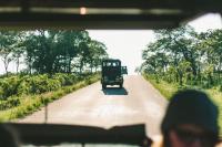 Wildlife tourism booms as celebrity icons book eco-tours