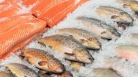 How Fish Changed The Frozen Food Industry Forever
