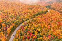 The 2026 Fall Foliage Forecast Is Here—and These U.S. States Are Expected to Have the Most Vibrant Colors