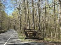 Virginia man falls to death in Pendleton County