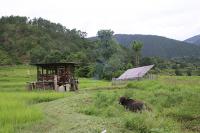 Bhutan scales up renewable energy irrigation to boost farming and rural livelihoods