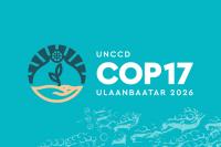 COP17’s Desertification Pledges Reach US$ 1.3 Billion
