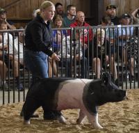 Denmark on display at the Brown County Fair