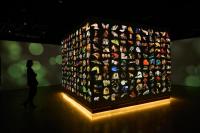 National Geographic Just Opened A Massive New D.C. Museum