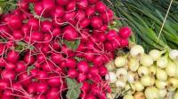 Omaha Farmers Market connects growers and artisans to the community