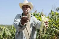 El Salvador Farmers Watch El Niño Turn Corn into Dust