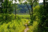 Angola Named Indiana’s Most Charming Small Town by AFAR