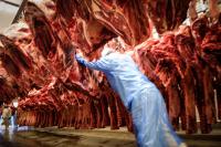 Brazil sees little room to reverse EU’s animal protein ban