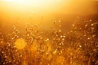 Weather outlook: First half of September looks warmer than average. Get Bill Steffen's forecast