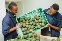 Cold chain emerges as new investment frontier in Tanzania