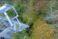 Granite Geek: In New Hampshire, the lungs of the planet are coughing