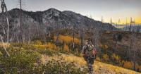 2026 Deer and Elk Hunting Outlook