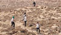 ‘Ethnic cleansing’: ex-IDF generals warn settler violence is becoming a threat to Israel itself