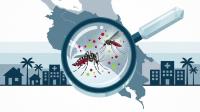 Dengue outbreak in Costa Rica: 385 new cases in seven days
