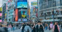 Flock to Tomarigi, the viral app that lets you perch in over 1,000 spots throughout Japan