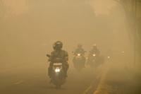 Fine businesses for fires