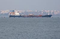 Turkey Moves with Russia and Ukraine to Secure Black Sea Navigation