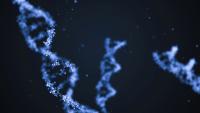 ‘It’s rare to meet a moment when the risks of a scientific breakthrough are so clear’