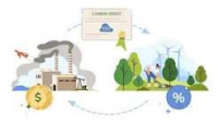 Can carbon markets unlock Africa’s green economy?