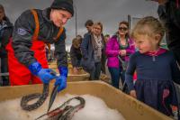 Iceland feared fishing industry would end up like Ireland's in EU - New York Times