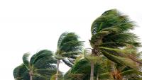 Tropical Threats Target Gulf Coast And Florida As Dolly Remnants Approach