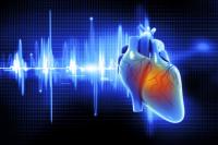Assessing the Benefit of Heart Calcium Scans