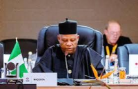 We will no longer tolerate dehumanisation of Nigerians in S/ Africa – Shettima
