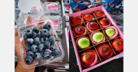 Blueberry supply increases significantly, while Vietnamese durians gain market share