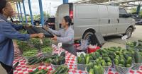 Milwaukee's Veggie Chop Shop uses farmers' excess produce to feed those in need