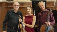 Far North news briefs: Korimako Trio in Northland; Village Arts Gallery reopens; wild goats are under fire