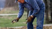 Florida sweeps top 3 places to retire to in new report