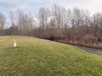 Olivine Corporation Landfill meets criteria to end permitting requirements