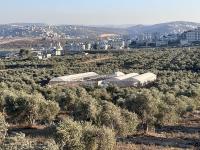 Palestinian farmers rebuild what Israeli settlers destroy in West Bank