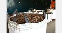 South African macadamia industry at a crossroads after loss of China