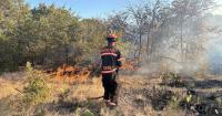 North Port Fire Rescue officials travel to Texas, help with large wildfire