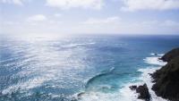 Northern Cyprus halts all Girne port traffic following deadly ferry accident