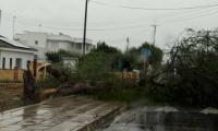 Financial assistance applications open for storm damage