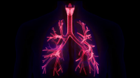 South Korean scientists create breathing-like artificial lung