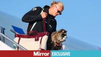 PETA mocks Erling Haaland with Halloween costume after 'callous' raccoon taxidermy stunt