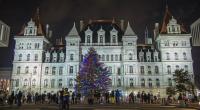 OGS Seeks Holiday Tree Donation for the New York State Capitol