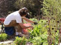 Master Gardener: Carbon-smart gardens — how our backyards can help the planet
