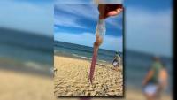 Swimmers urged to watch for 'purple meany' jellyfish at Jersey beaches