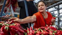 Photos: Red or Green Day at the Rail Yards Market