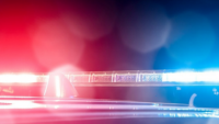 Six Haitians and a Jamaican detained in Trelawny