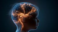 Yale School of Medicine awarded a nearly $25 million grant to map the developing brain and advance autism research