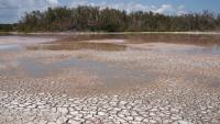 Florida drought worsens at rainy-season peak, an unusual late-August warning