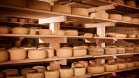 France relaxes protected cheese rules after drought leaves dairy herds short on grass