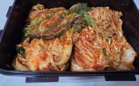 South Korea researchers turn 18,700 tons of kimchi radish waste into bioplastic
